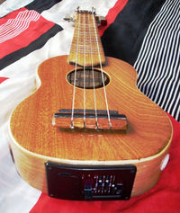 Grzegorz zrobił ukulele Grzegorz zrobił ukulele
